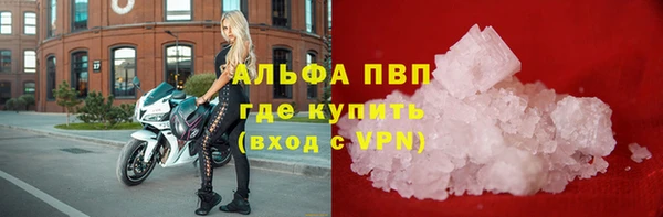 ECSTASY Богданович