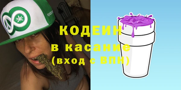 ECSTASY Богданович