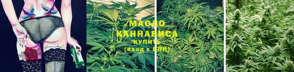 ECSTASY Богданович