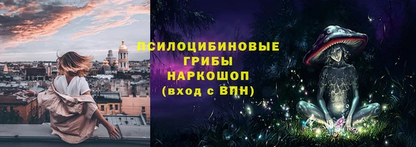 ECSTASY Богданович